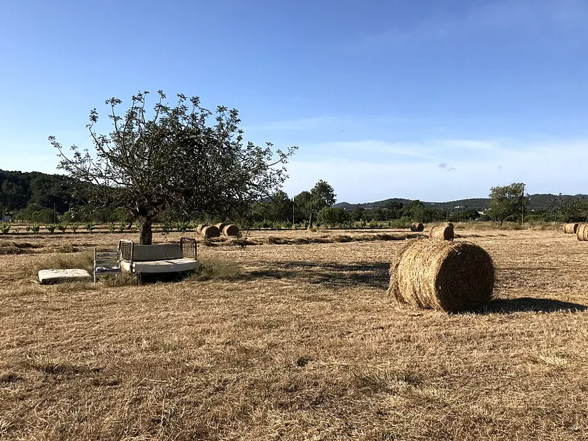 Ibiza — una sesión