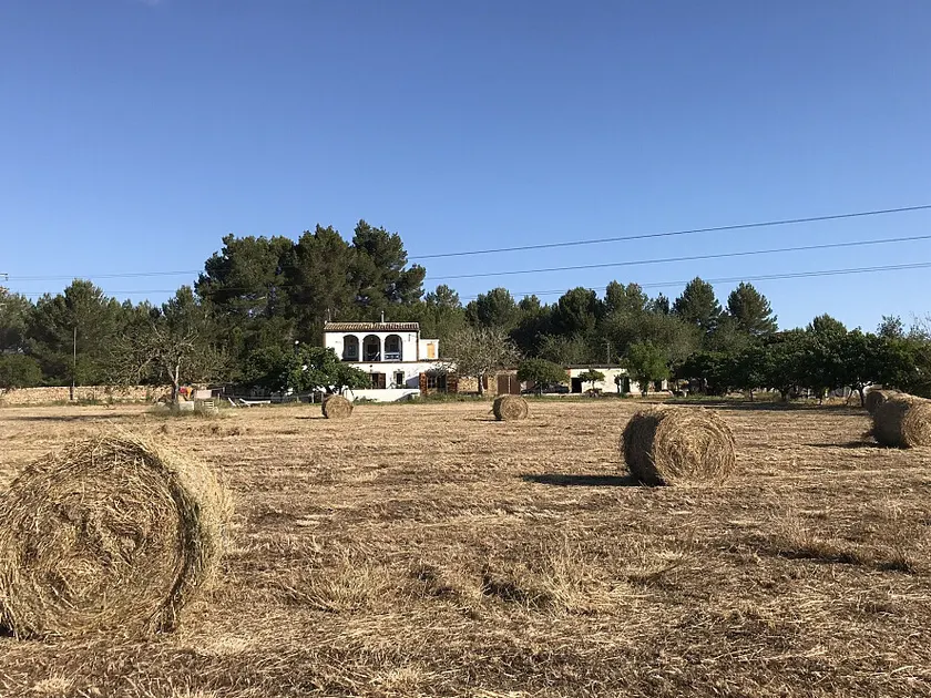 Ibiza — una sesión
