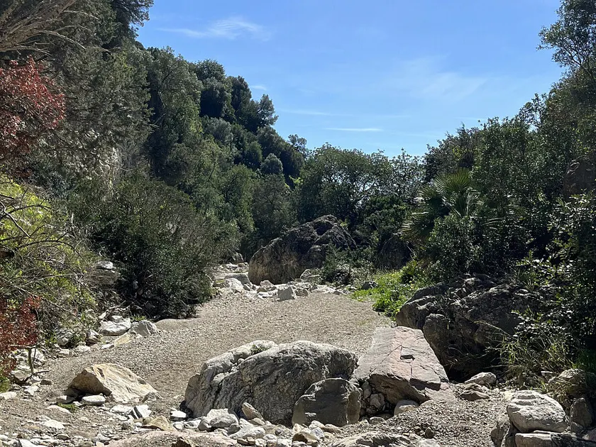 Estepona — una sesión