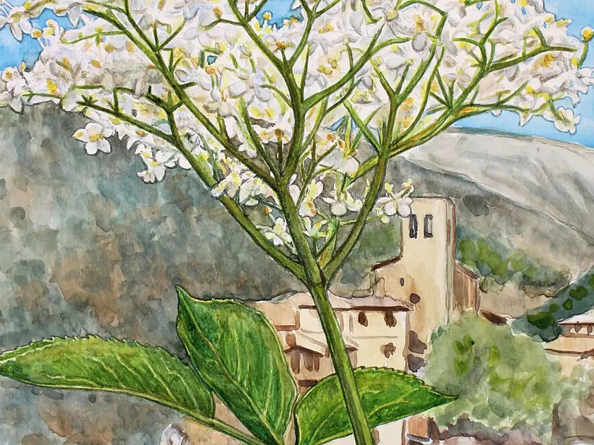 La Vansa i Fórnols — el entorno