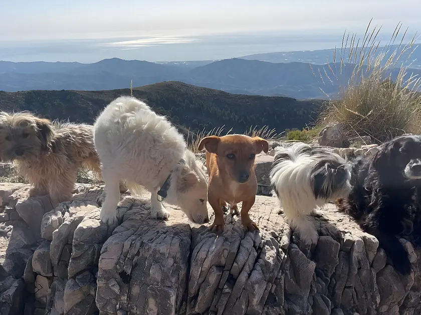 Canillas de Aceituno — una sesión
